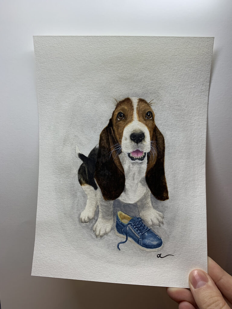 dog hush puppies