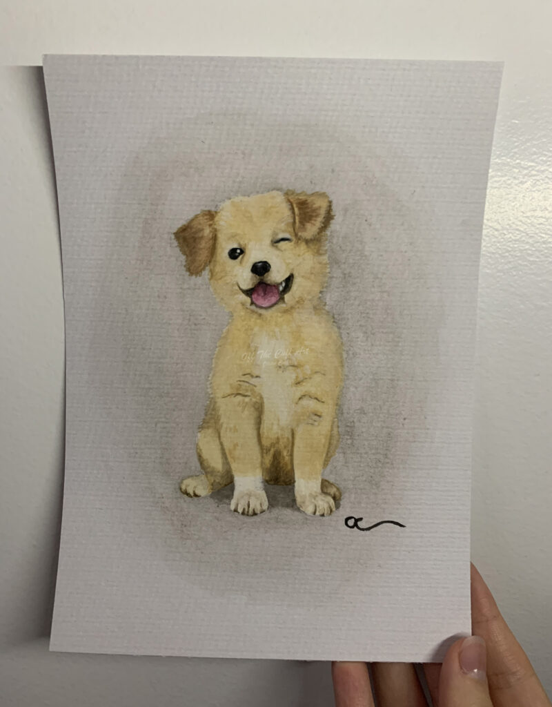 dog puppy wink