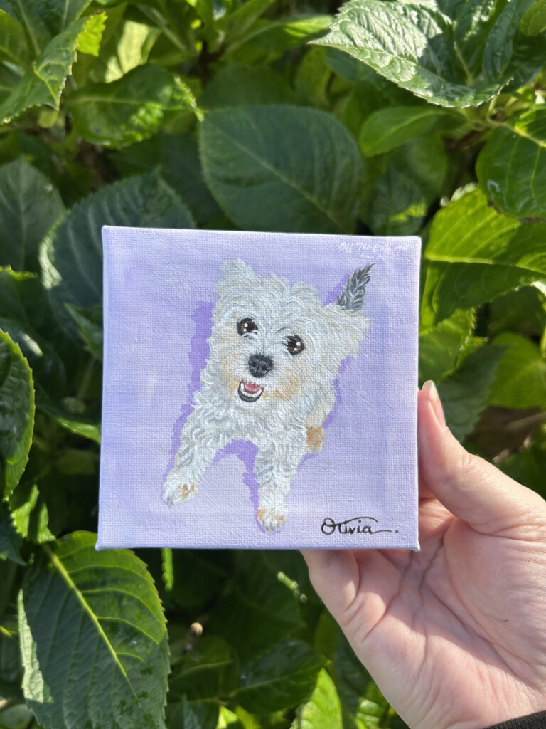 dog zuki mini 2