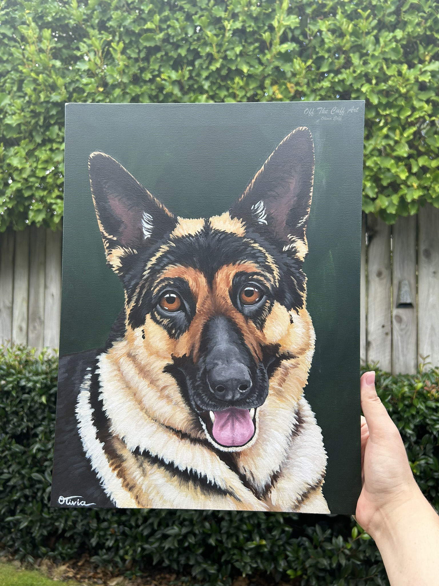german shepherd a3