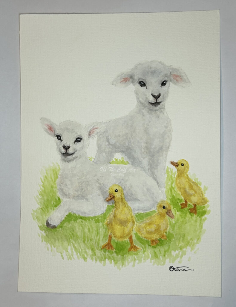 lambs & ducklings