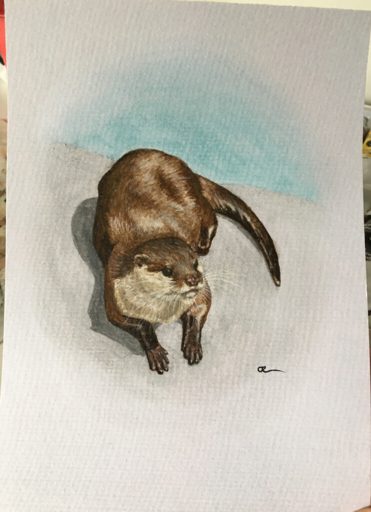 otter