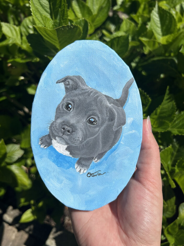 staffy oval