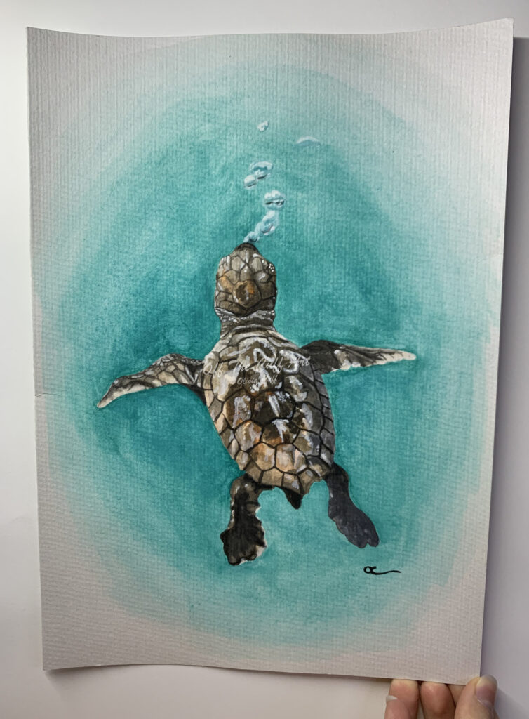 turtle bubbles