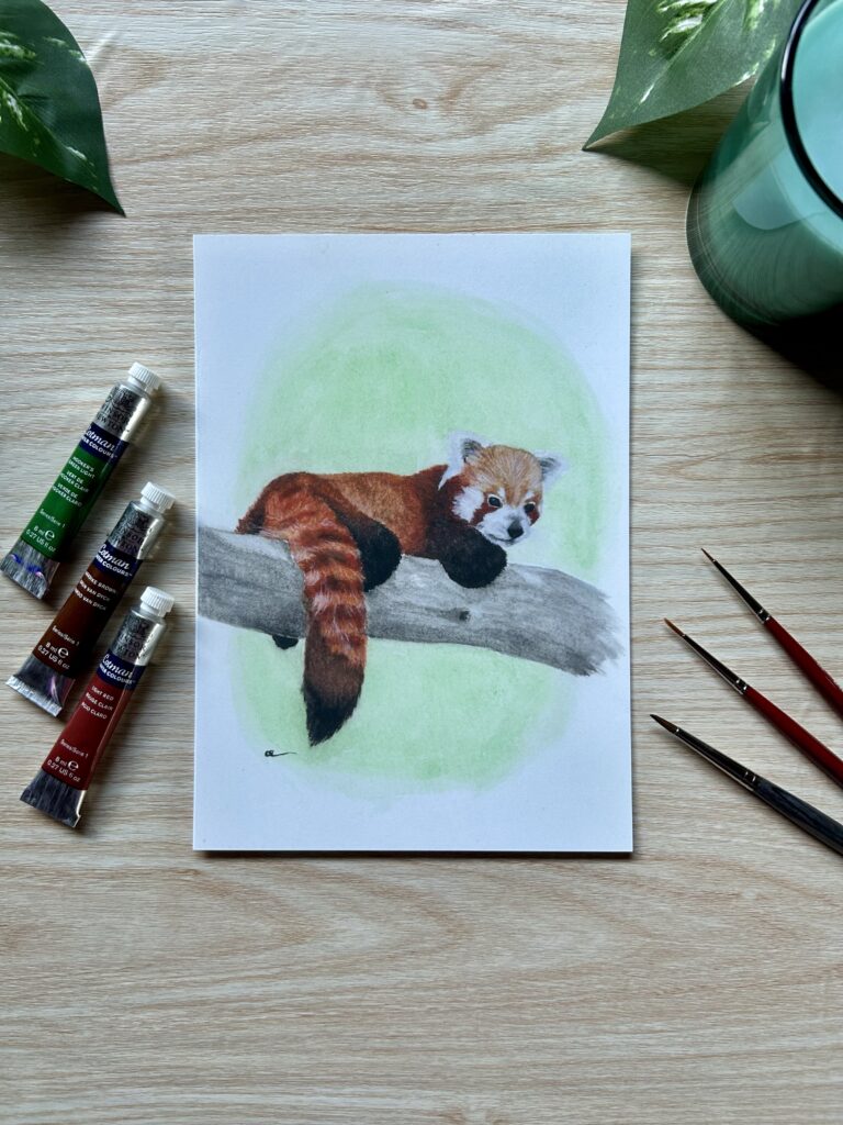 Red Panda A5