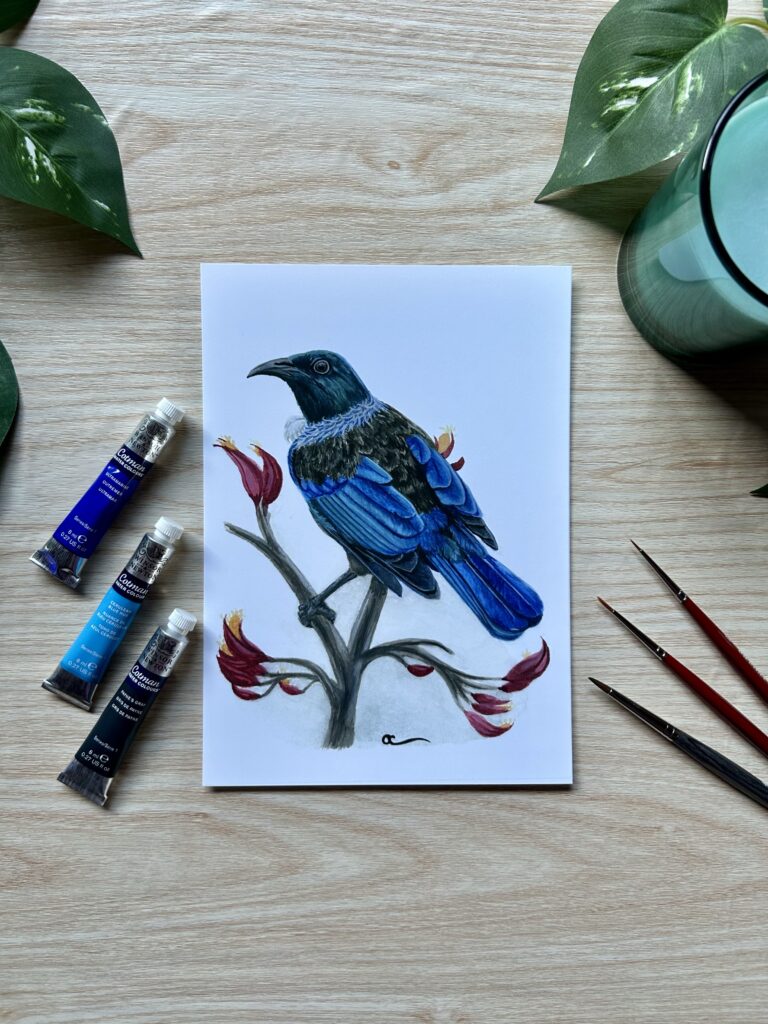 Tui A5